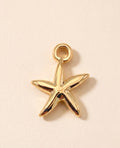 Charm Étoile