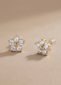 Boucles d'oreilles Fleurs scintillantes